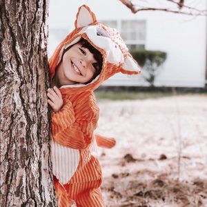 Fox costume